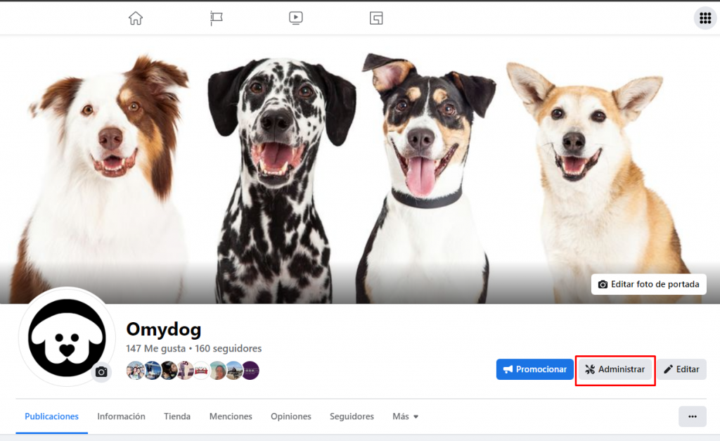 Accesorios para mascotas en Chile